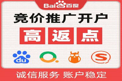 百度竞价代运营公司成功案例揭秘：策略与执行